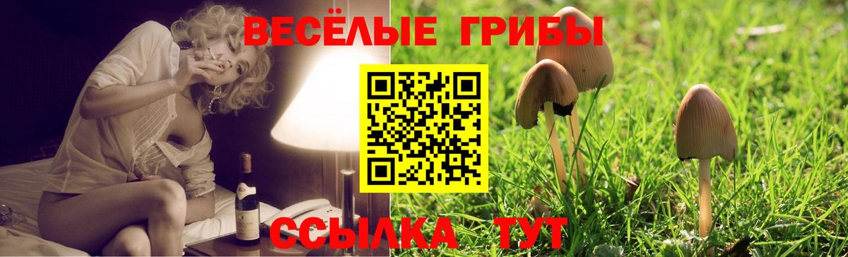 Псилоцибиновые грибы мицелий Анапа
