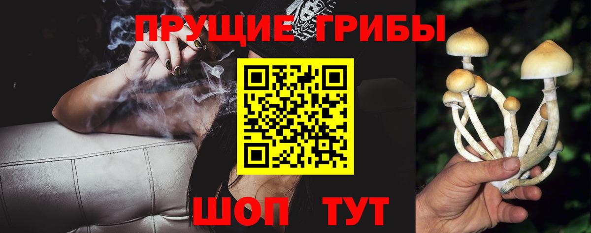 Псилоцибиновые грибы Psilocybe  Вход с VPN  Анапа 